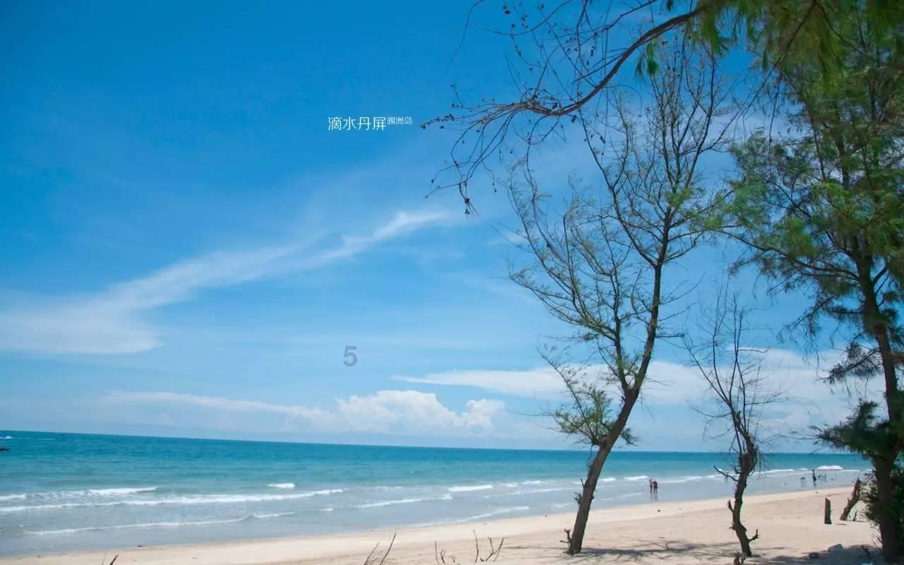 春雨直播app